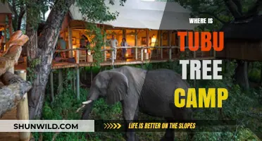 Exploring the Enchanting Tubu Tree Camp: A Hidden Gem in Nature