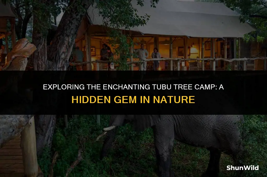 where is tubu tree camp