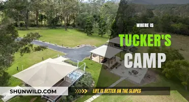 Exploring Tucker's Camp: A Journey to His Retreat