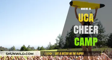 Discover the Ultimate UCA Cheer Camp Experience: Where Passion Meets Skill