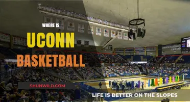 UConn Basketball: Where Do They Play?