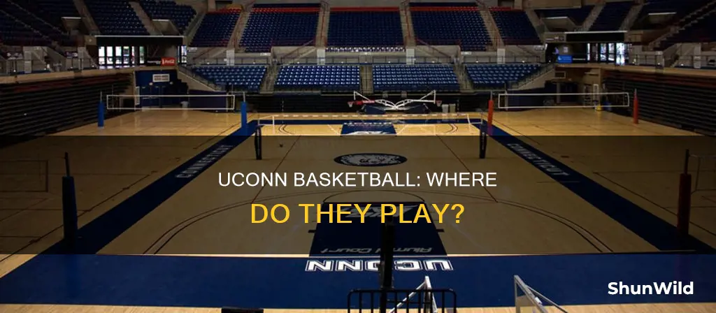 where is uconn basketball