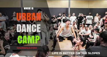 Exploring the Vibrant World of Urban Dance Camps Near You