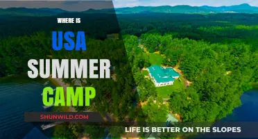 Discover the Best USA Summer Camps for Unforgettable Adventures