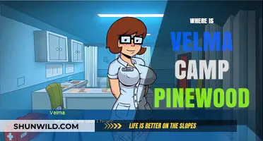 Unveiling the Mystery: Velma Camp Pinewood's Hidden Location