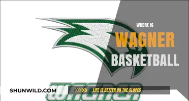 Wagner Basketball: Where the Seahawks Soar