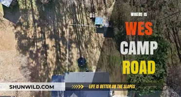 Exploring the Hidden Gem: Wes Camp Road's Serene Escape