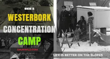 Westerbork Concentration Camp: Location, History, and Legacy Explored
