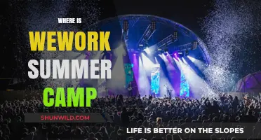 Exploring the Ultimate Summer Camp Experience at WeWork Locations