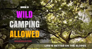 Exploring the Great Outdoors: A Guide to Wild Camping Locations