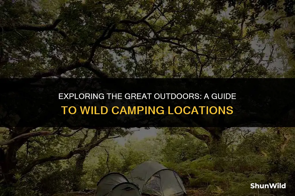 where is wild camping allowed
