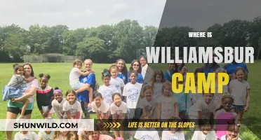 Exploring Williamsburg: Unveiling the Hidden Gems of Summer Camps