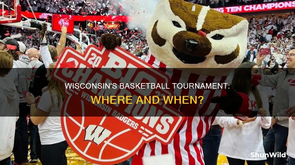 where is wisconsin state basketball tournament