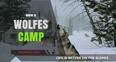 Exploring the Untamed Wilderness: Where Wolves Camp in the Wild