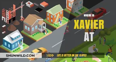 Finding Xavier: A Global Adventure