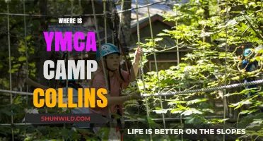 Discovering YMCA Camp Collins: Your Ultimate Guide to Location and More
