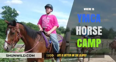 Discover the Ultimate YMCA Horse Camp Experience: Where Adventure Meets Equine Fun!