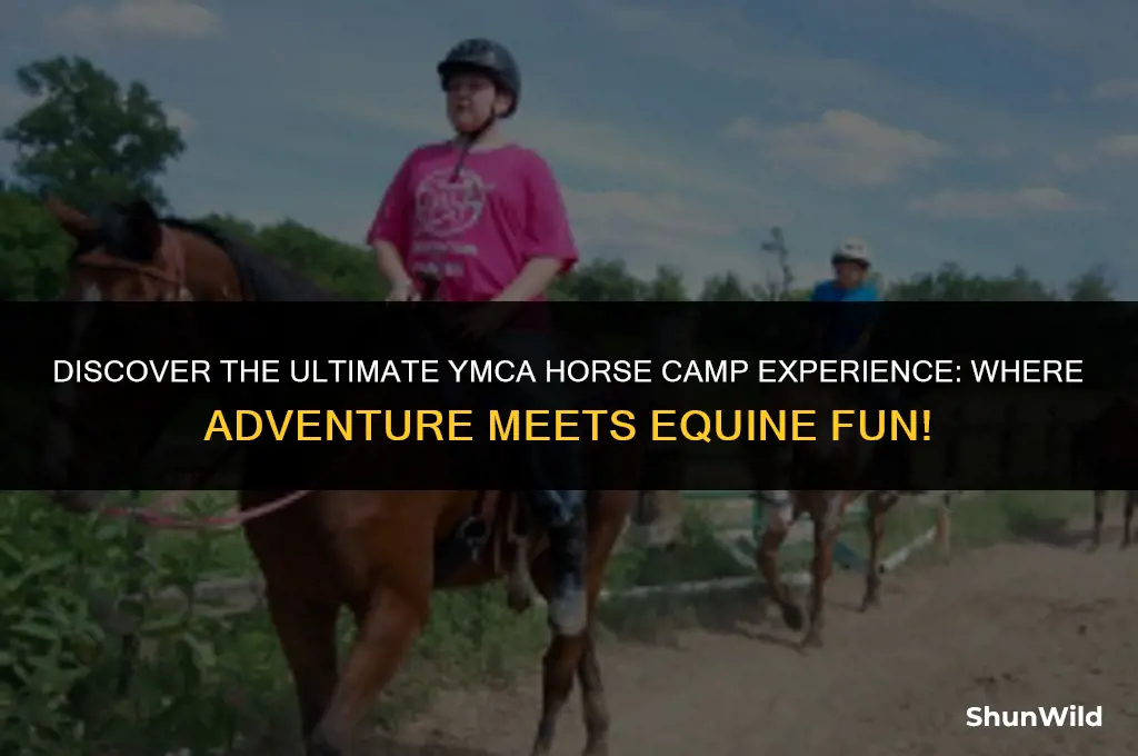 where is ymca horse camp
