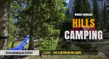Discover the Best Black Hills Camping Spots: A Guide to Nature's Retreats