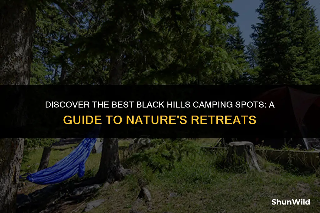 where iscblack hills camping