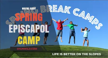 Exploring the Beauty of Spring at Day Camp: A Journey Through Nature's Renewal