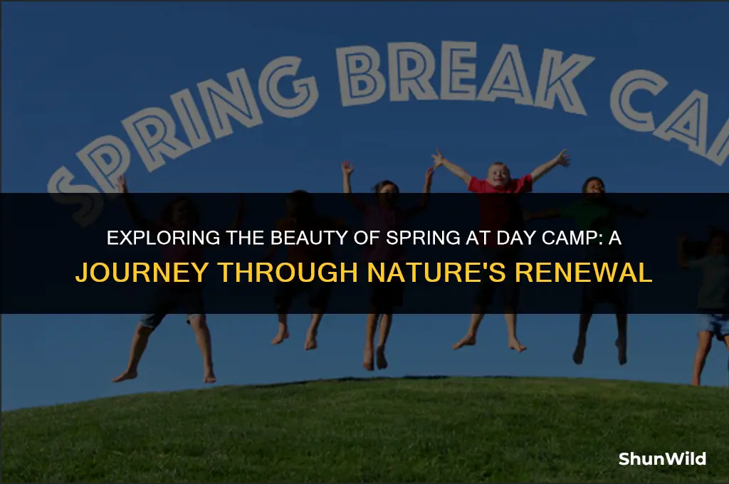 where isday spring episcapol camp