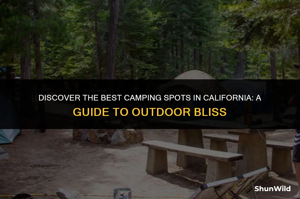 where it camp in california
