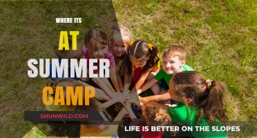 Where the Fun's At: Summer Camp Highlights