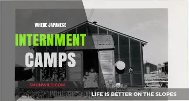 Unveiling the Hidden History: Japanese Internment Camps in America