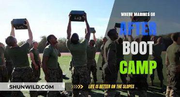 Life After Boot Camp: Marines' Next Steps and Training Destinations