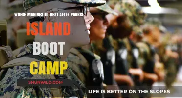 Post-Parris Island: Marines' Next Steps After Boot Camp Training
