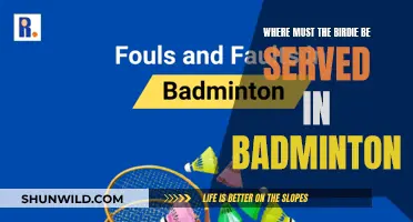 Serving Birdie: The Sweet Spot in Badminton
