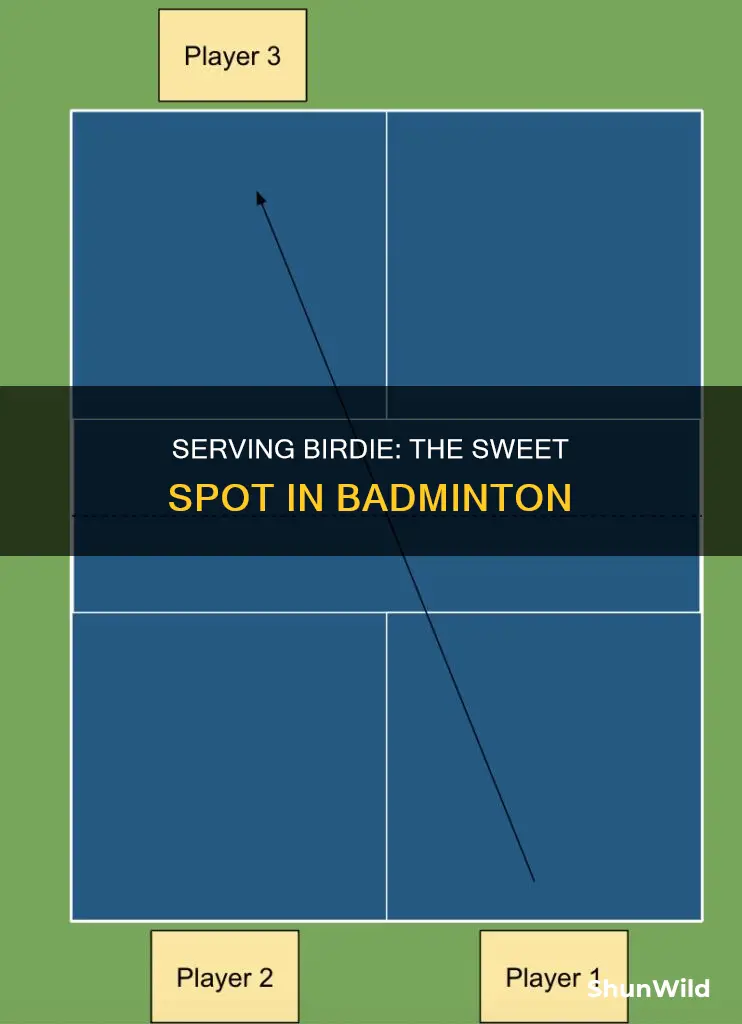 where must the birdie be served in badminton
