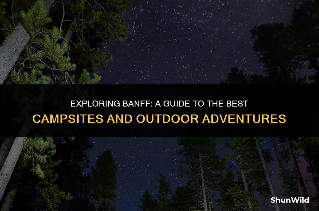 where o camp banff