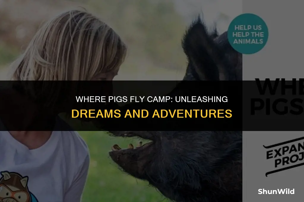 where pigs fly camp