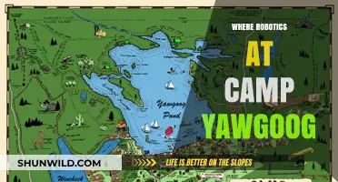 Exploring Robotics at Camp Yawgoog: A Summer of Innovation