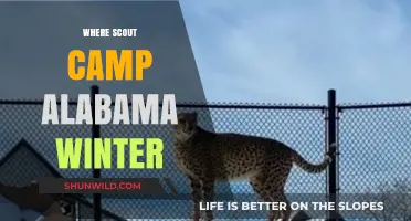Exploring Alabama's Winter Wonderland: Scout Camps and Adventures