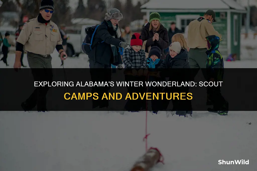 where scout camp alabama winter