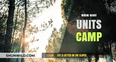 Exploring the Great Outdoors: Scout Units' Favorite Camping Spots