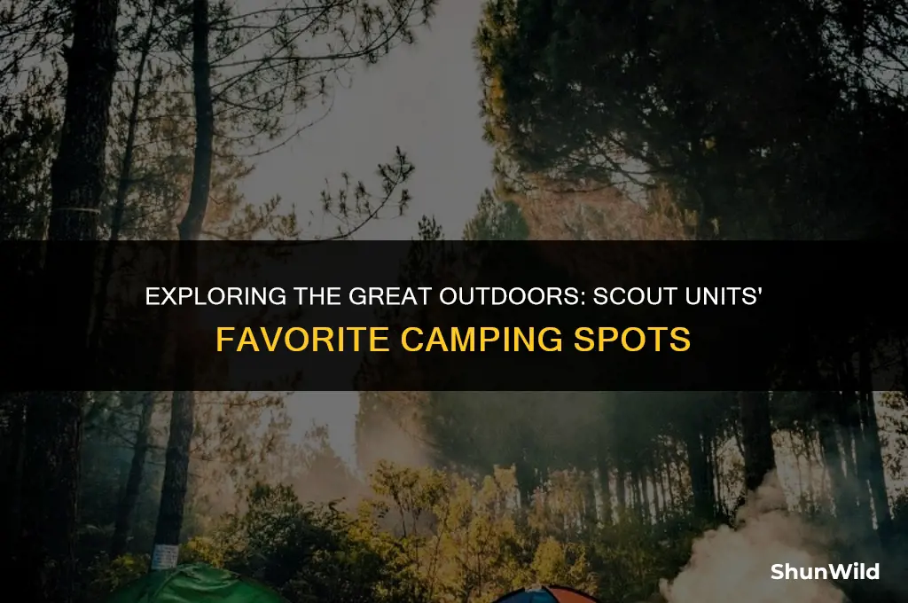where scout units camp