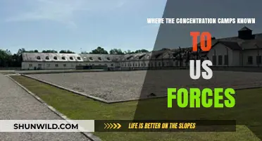 Unveiling the Locations of Concentration Camps Discovered by Allied Forces