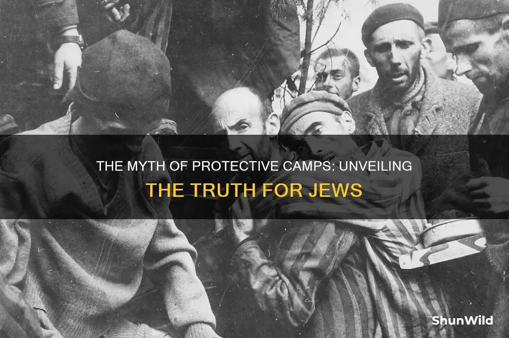 where the concentration camps supposed to protect the jews
