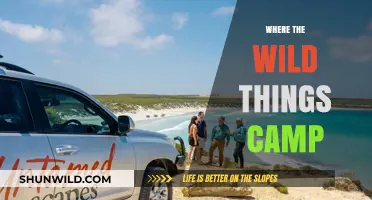 Untamed Escapes: Where the Wild Things Camp