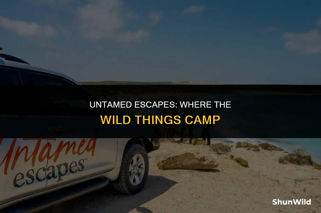 where the wild things camp