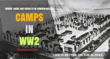 Resistance in the Shadows: Revolts Within WWII Concentration Camps