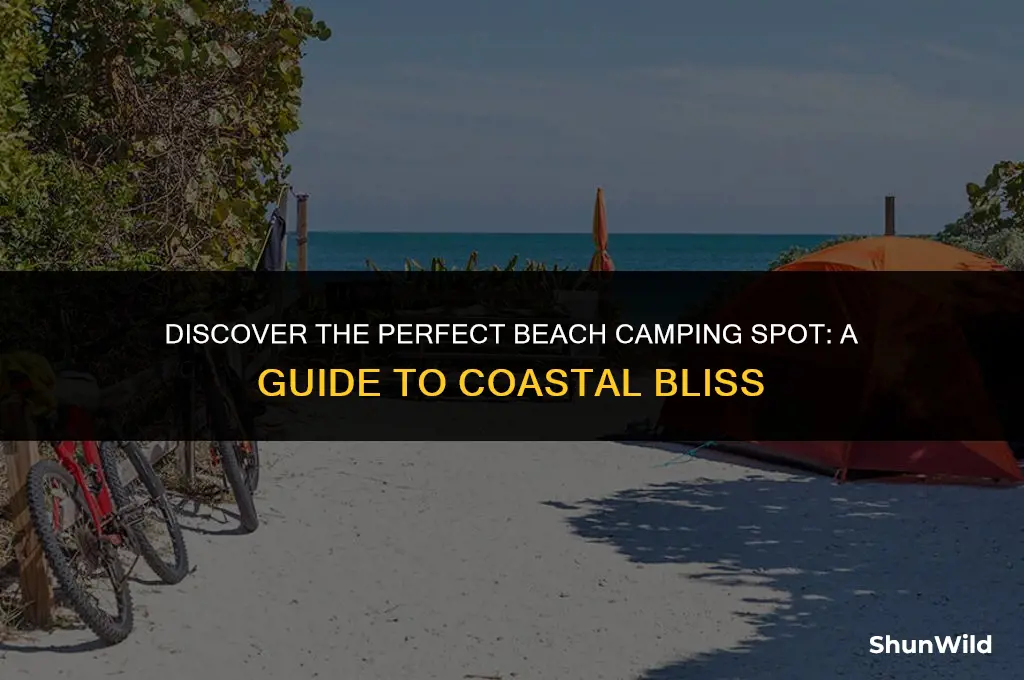 where to beach camp