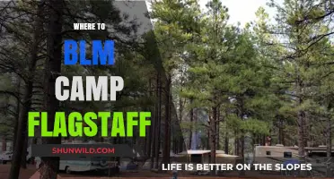Discover the Best BLM Camping Spots Near Flagstaff