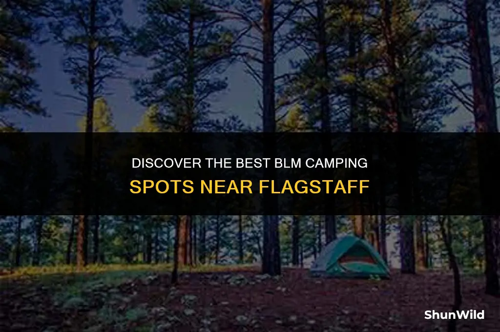 where to blm camp flagstaff