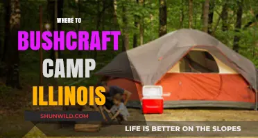 Discover Illinois' Hidden Gems: Top Bushcraft Camping Spots Unveiled