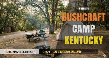 Exploring Kentucky's Wilderness: Top Bushcraft Camping Spots